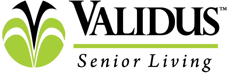 Validus Logo Large 