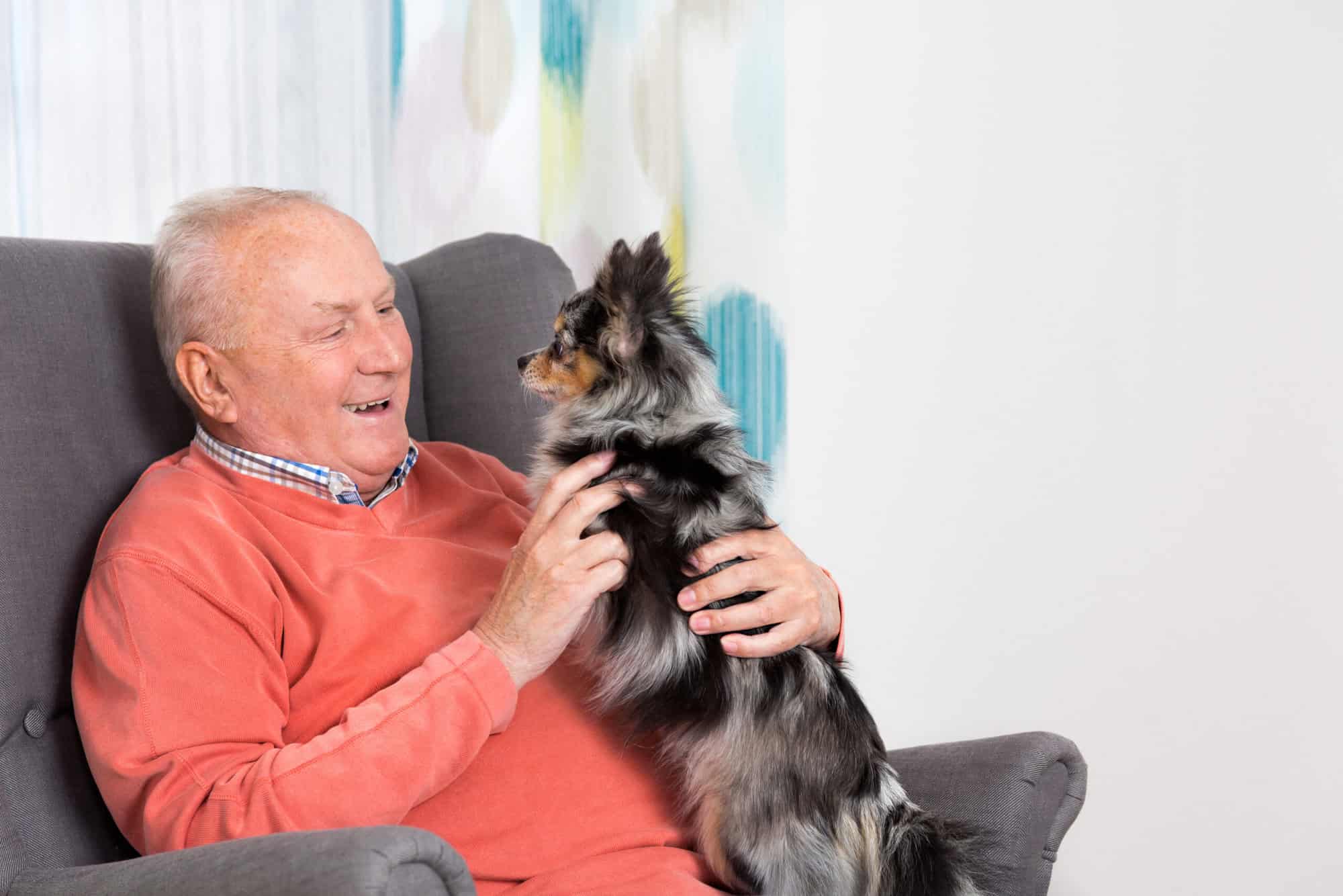 For seniors who have a beloved pet they simply can't live without